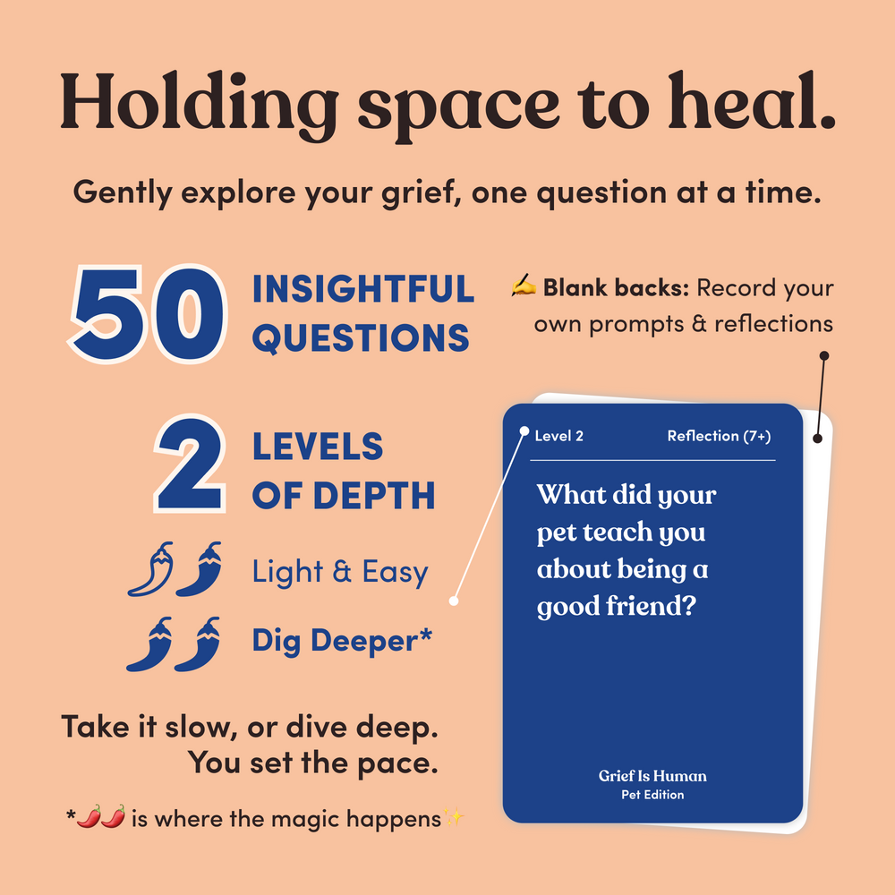 Infographic for Grief Is Human Pet Edition listing 50 questions across two levels, headline “Holding space to heal”